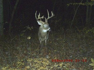 Property photo 9 - 1974 Acres in 23 Tracts Located in Christian, Hopkins & Edmonson County, Kentucky